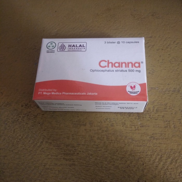 Kapsul Channa Extrak Ikan Gabus