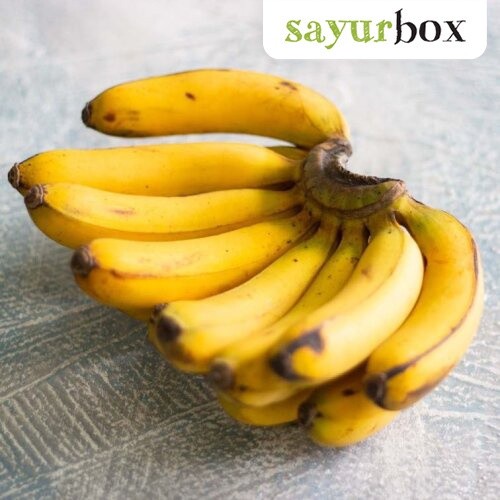 

Pisang Barangan Merah Konvensional 500 gram Sayurbox