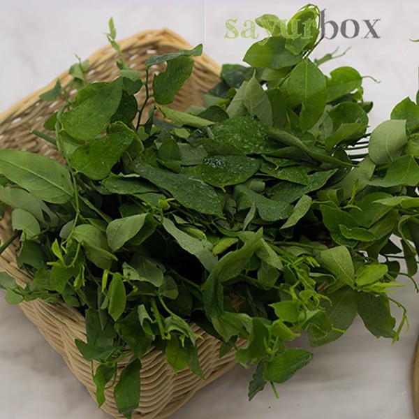 

Daun Katuk Konvensional 250 gram Sayurbox