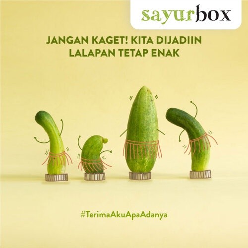 

Timun Imperfect 500 gram Sayurbox