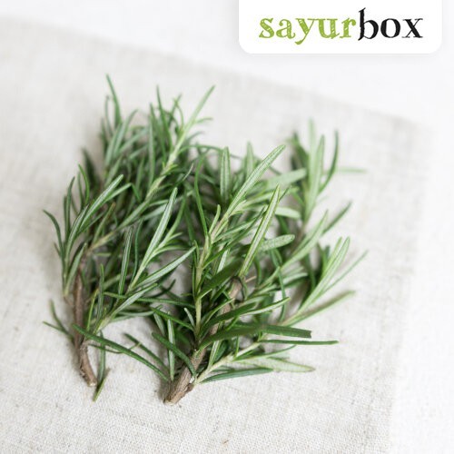 

Daun Rosemary Organik 50 gram Sayurbox