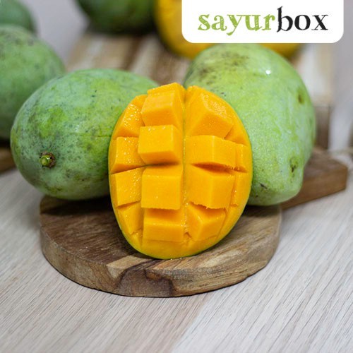 

Mangga Indramayu Konvensional 1 kg Sayurbox