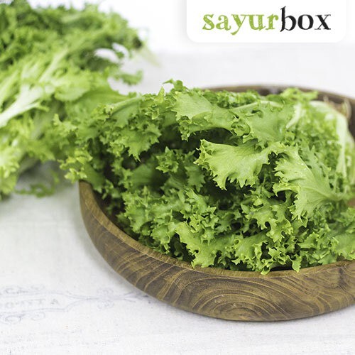 

Endive Hidroponik Hidroponik 250 gram Sayurbox