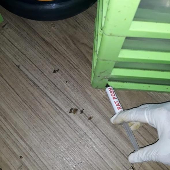 Racun kecoa jerman Ratposh 20ml