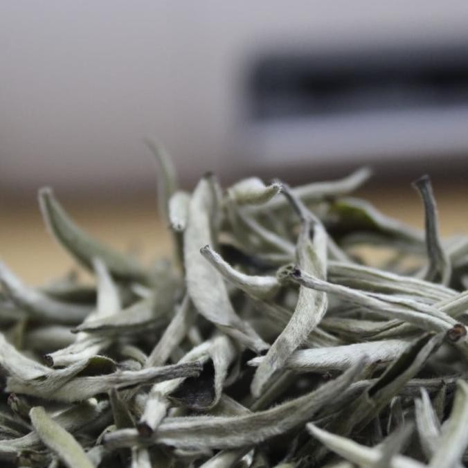 

NEW PRODUK TEH PUTIH WHITE TEA SILVER NEEDLE 50GRAM !!!!!