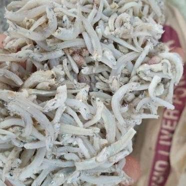 

teri medan asin mairo