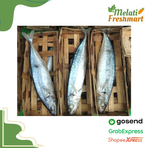 

Ikan Cue Keranjang isi 1, 2 & 3 - Melati Freshmart