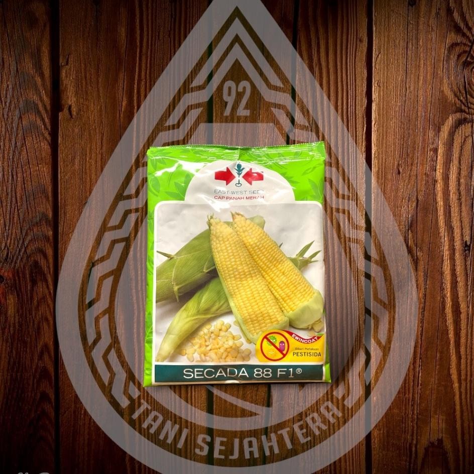 Benih Jagung Secada 88 F1 (250Gr)