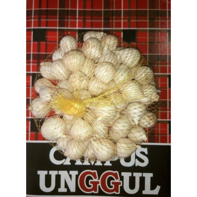 

Bawang Putih Tunggal / Bawang Lanang -Bawang Kesehatan Herbal 500gr