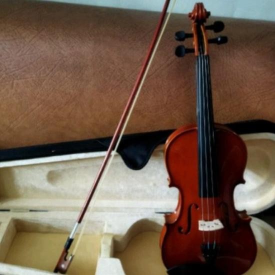 Paket Biola Full Solidwood Peganini Recomended