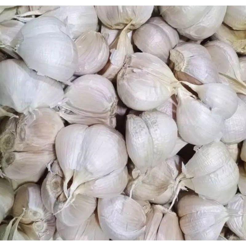

bawang putih kating bersih 1 kg termurah solo