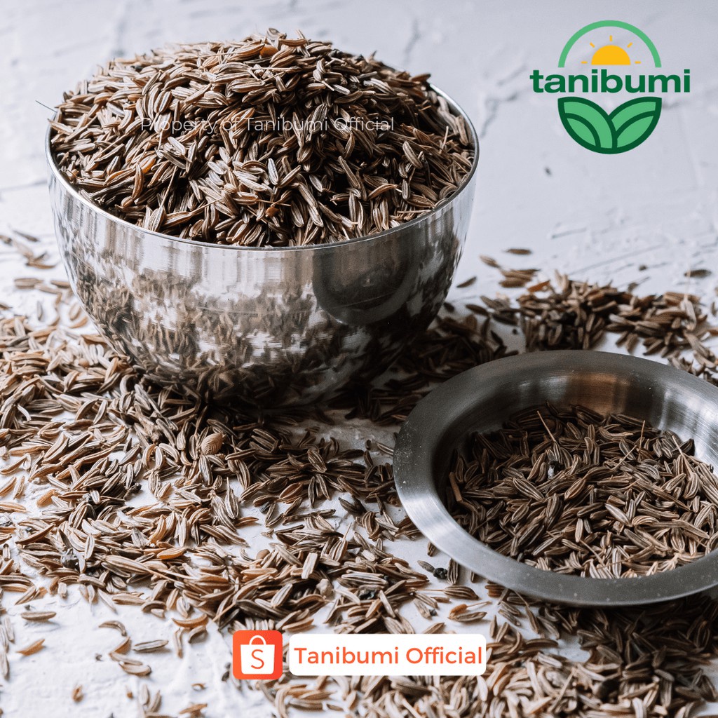 

Ter Caraway Seed 500G Jintan Masak Biji Jinten Karaway