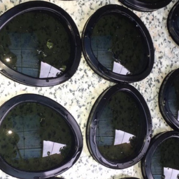 ️✔️✔️ Ready Stock Goggle Lens Replacement Goggle Jacket (not cp company) gas 