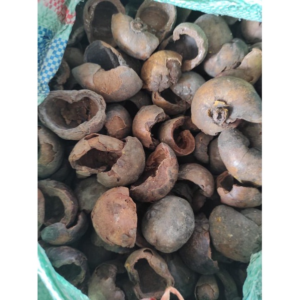 

KULIT MANGGIS KERING