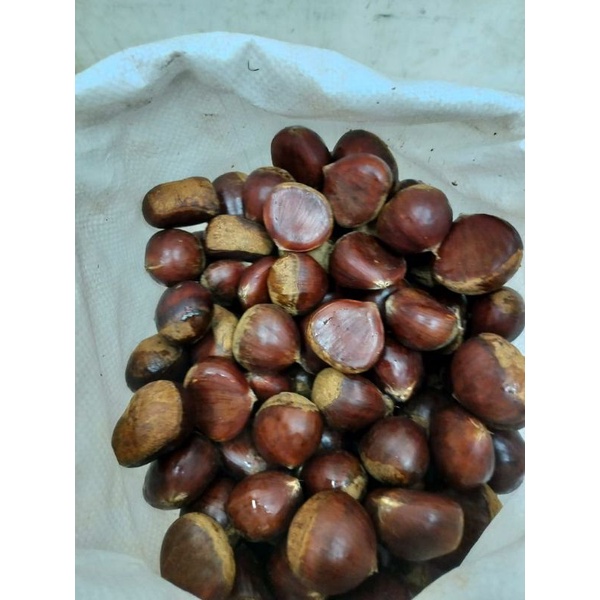 

chestnut 1kg