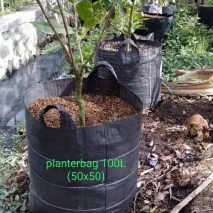 Terkini Planter Bag 100liter  pot tanaman pot buah
