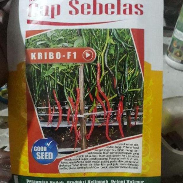 BIBIT BENIH CABE KERITING UNGGUL BERKUALITAS CAP SEBELAS KRIBO FI 10GR