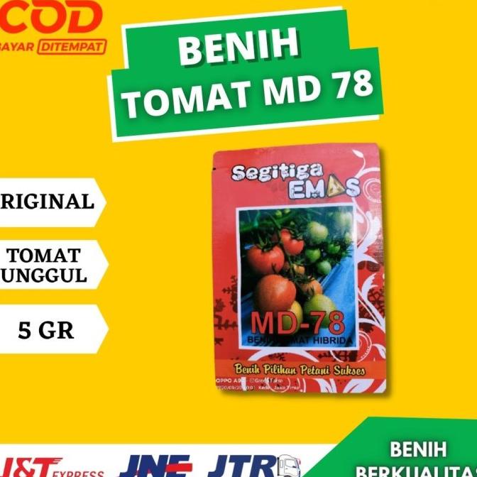 Benih Tomat MD 78 5gr - Bibit Tomat MD78 Original Pabrik Segitiga Emas