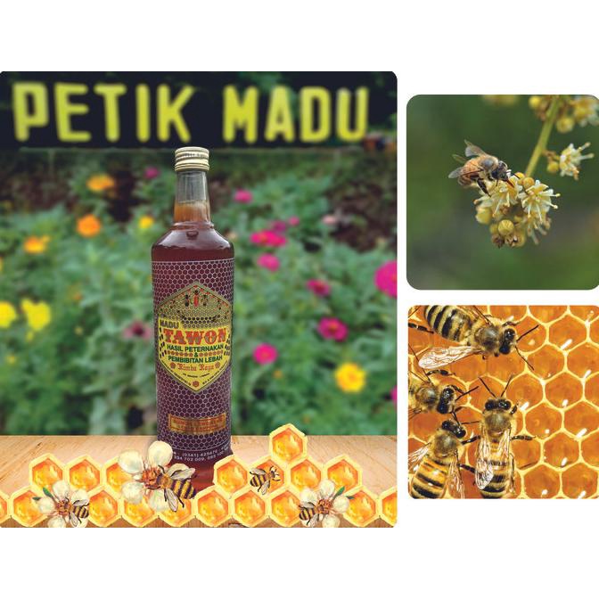 

@@@@] Madu Murni Bunga Lengkeng 600 ml