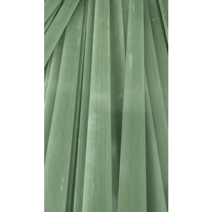 Pro Hemat1s6Rg Promo Fiber EFG Import Grade B, 4 mm, 3,5 mm, 3 mm