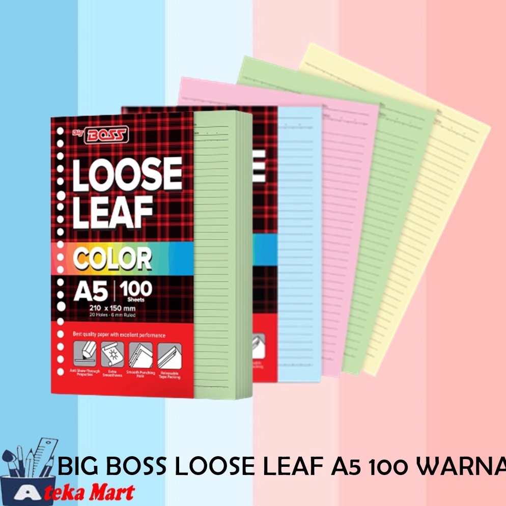 

EU7072 BIG BOSS LOOSE LEAF A5 100 WARNA s8sps