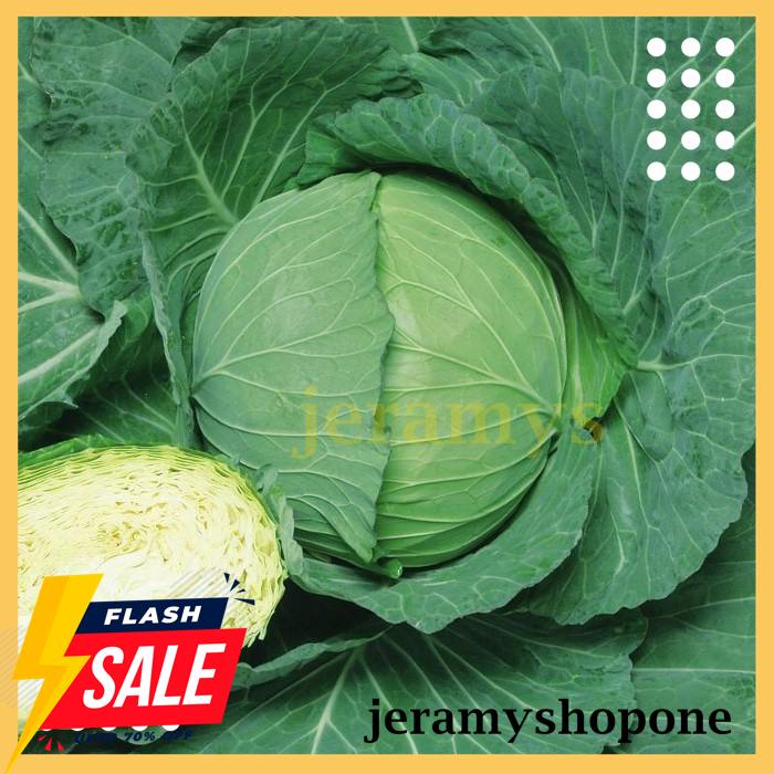 BEST DEAL BENIH-BIBIT KUBIS/KOL GRAND 22 (BISI) 