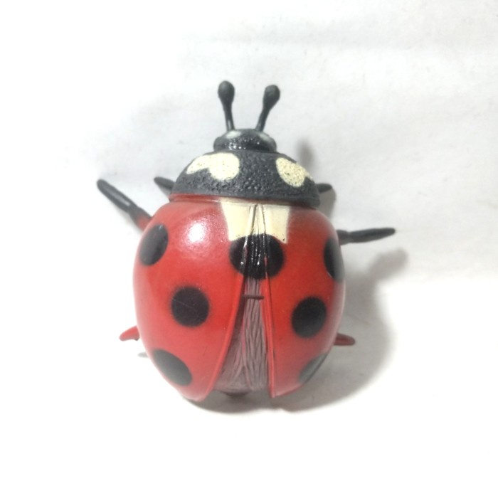 Terlaris Lady Bug Bird Kumbang Koksi Kepik Ladybugs Serangga Bugs Prank Toys