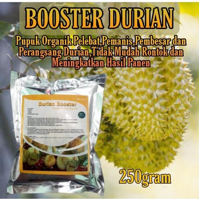 >*>*>*>*] pupuk booster durian