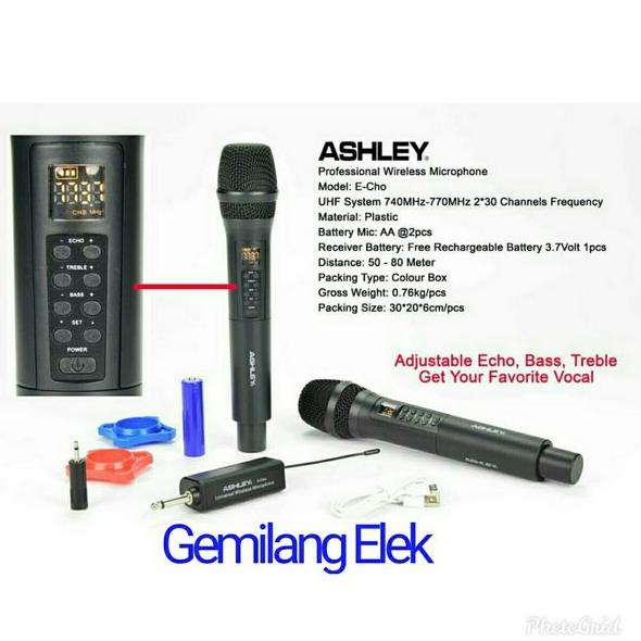 GARANSI Mic Wireless ASHLEY E-CHO 2mic