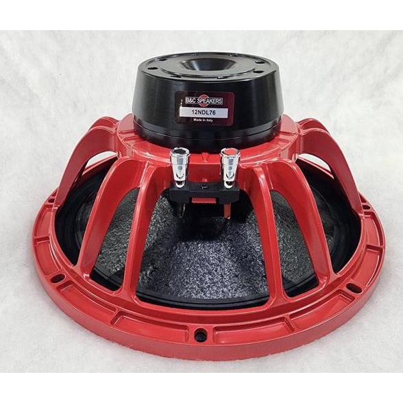 SALE speaker 12" neodium model BnC