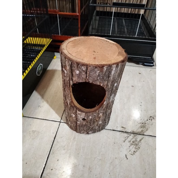 GLODOK POHON BUAT TERNAK MURAI DAN LOVEBIRD.