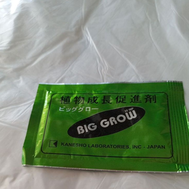 COD Big Grow murah