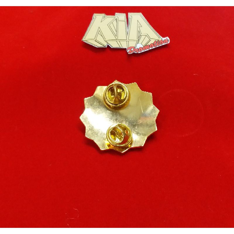 Pin Auditor Bpkp