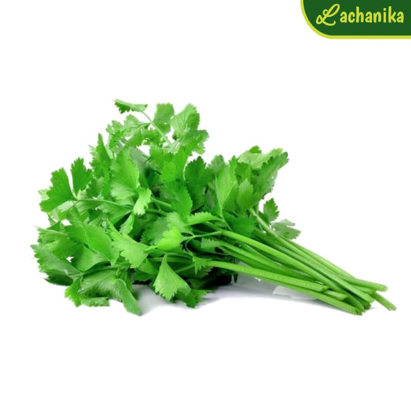 

Daun Ketumbar / Coriander Perikat