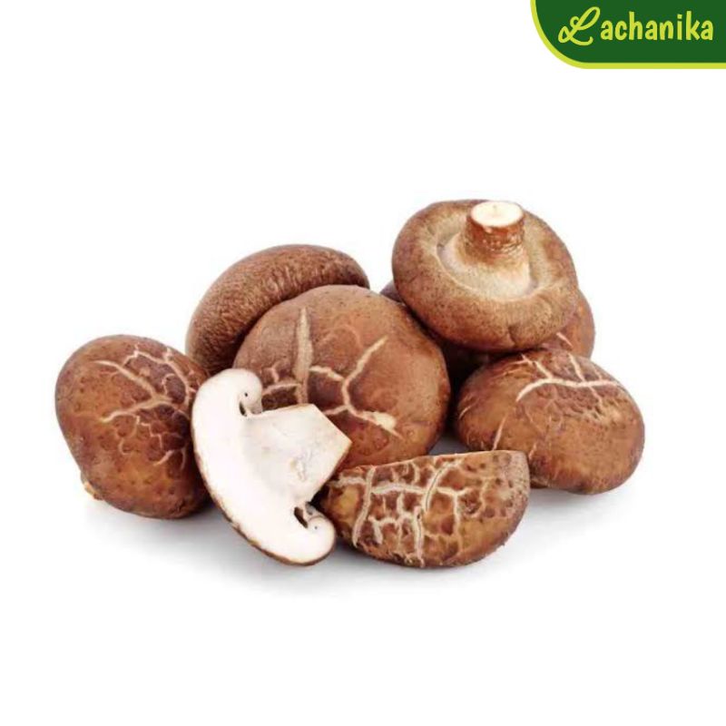 

Jamur Shitake Kering / Dried Shitake Mushroom