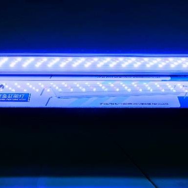 Lampu LED aquarium 50 60 70 cm
