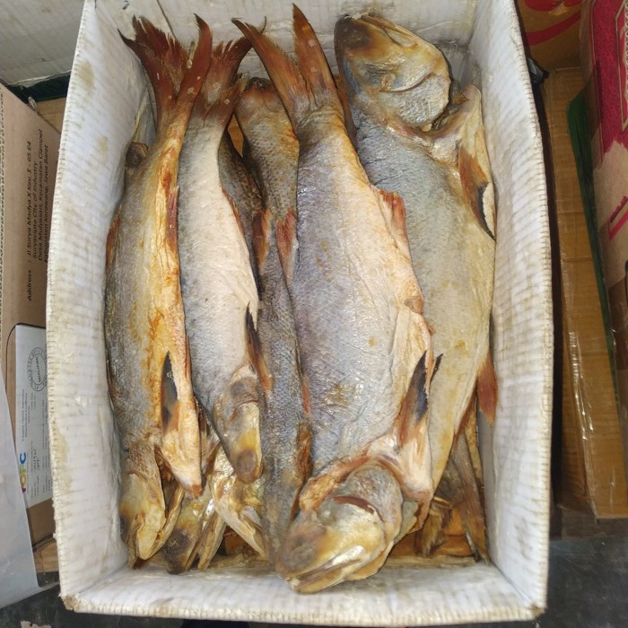 

ikan Asin kuro es qualitas export 500gr