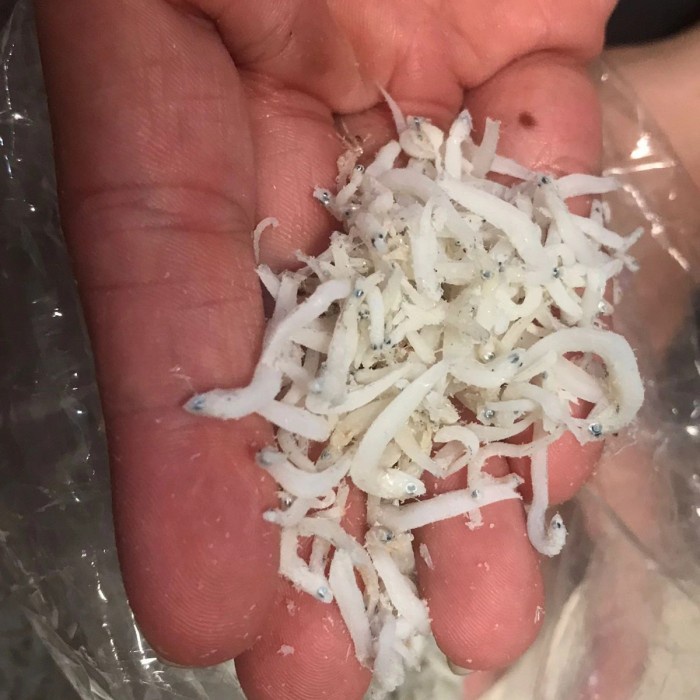 

ikan asin teri medan super 500gr