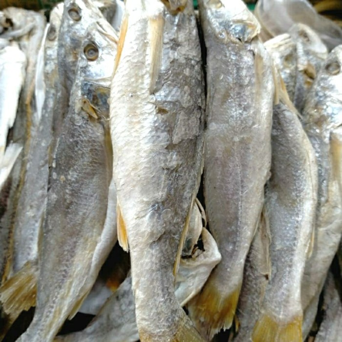 

Ikan Asin Samge Medan 1kg Gram