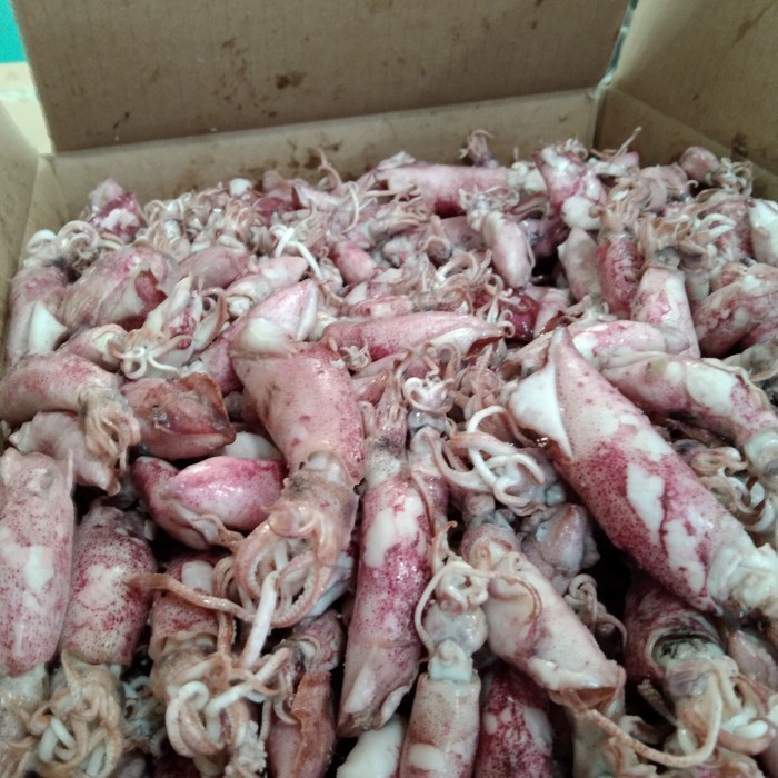 

Cumi asin 1kg/ikan asin cumi/cumi asin rebus - 4/5/6cm campur