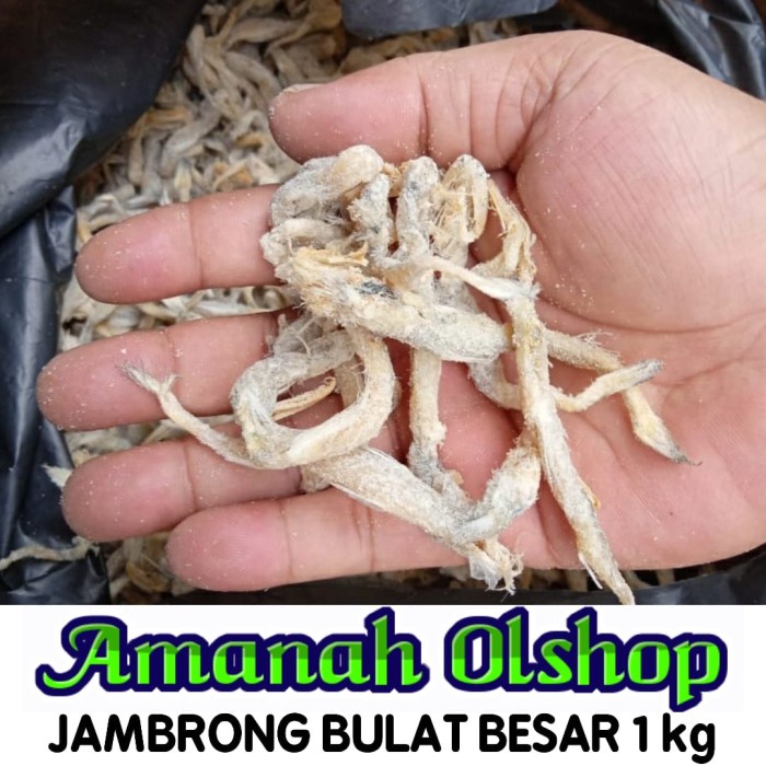 

Ikan Asin JAMBRONG / SITING / SITENG BULAT BESAR 1 kg