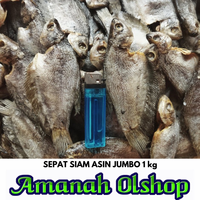 

Ikan Asin SEPAT 1 kg.
