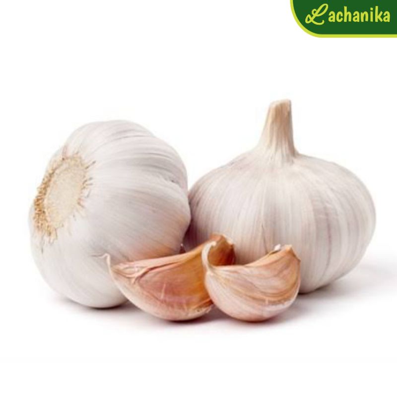 

Bawang Putih Fresh 500g - 1kg