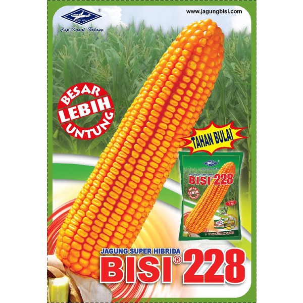 Benih Jagung Hibrida BISI 228 kemasan 1 Kg