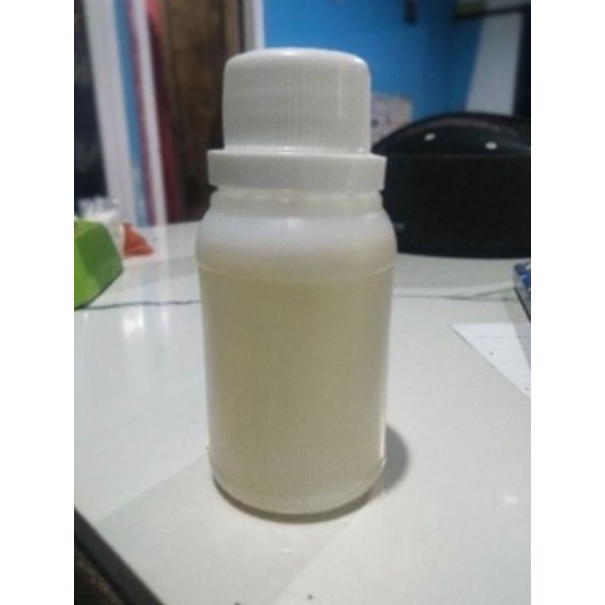 Minyak kamboja (Frangipani Essential Oil)