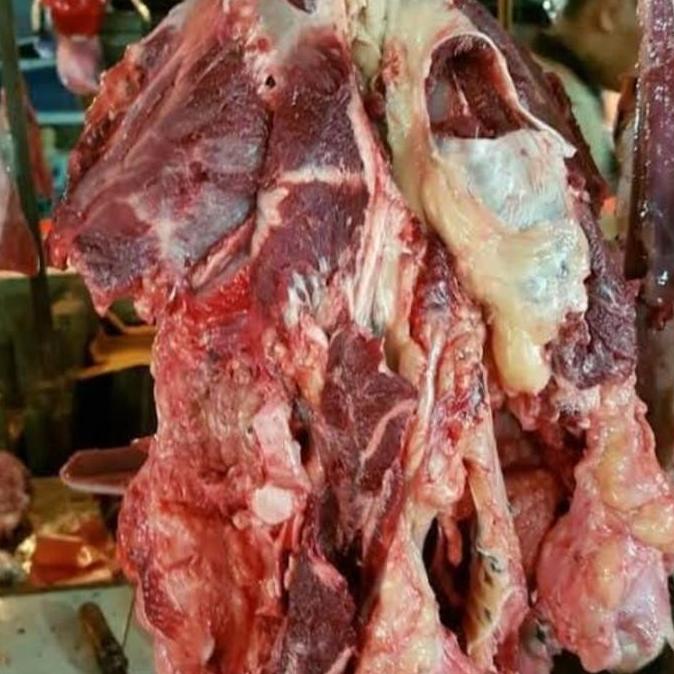 

Top Quality Daging Kepala Sapi Lokal Fresh Ready Stok Bronisshop