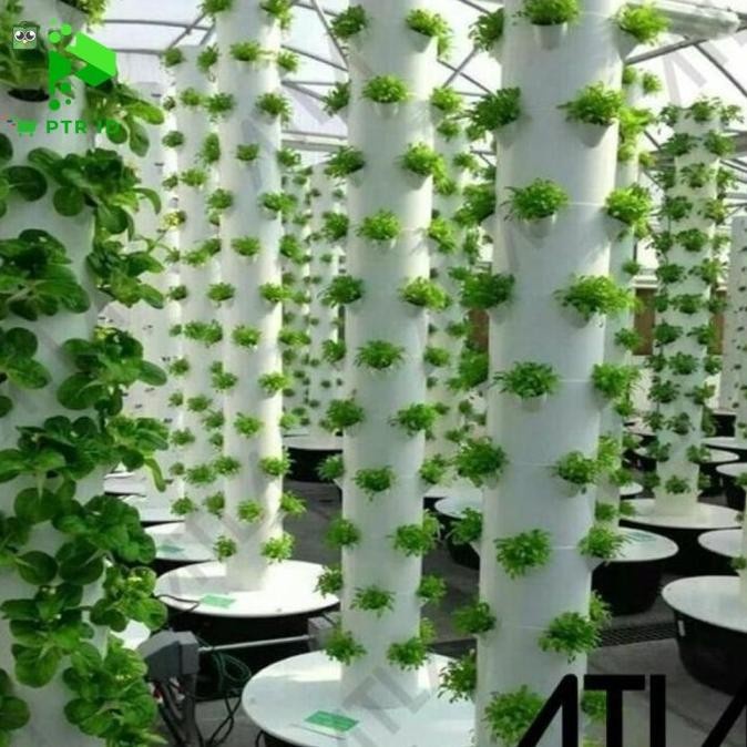 PTR Paket Tower Vertikal Hidroponik 1 Meter Paralon Garden Splashponik