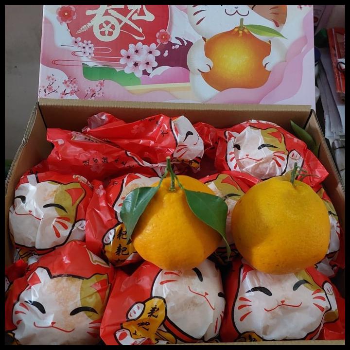 

TERBARU READY STOK. BUAH JERUK DEKOPON 4,5 KG ISI 18-20/ JERUK ENAK/ KADO !!!!!