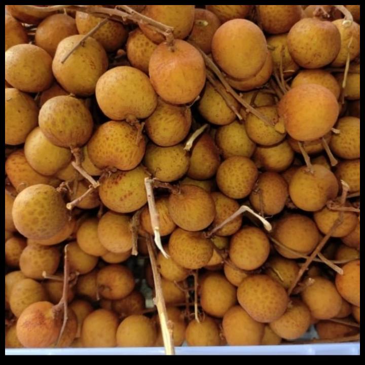 

DISKON BUAH LENGKENG MANIS, ENAK ISI 12.5 KG KERANJANG/ LENGKENG MAS/ KADO !!!!!!!