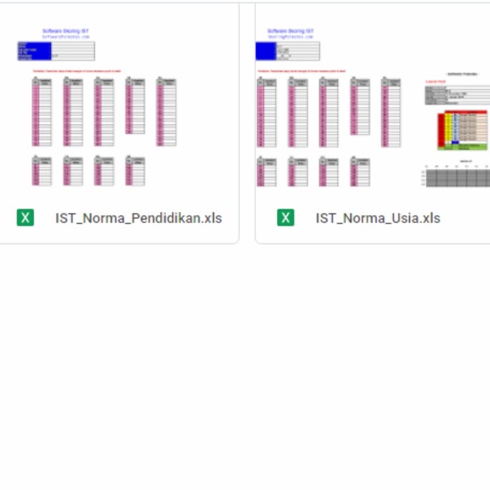 NEW Psikotes IST (Software Ms. Excel)